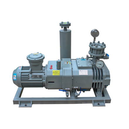 ETR-SV800-P screw vacuum pump