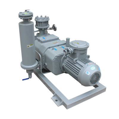 ETR-SV110-P screw vacuum pump