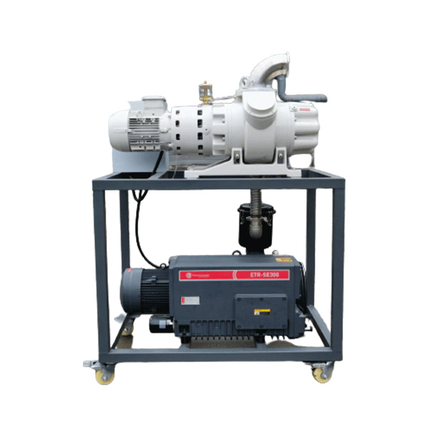 ETRDW Roots Vacuum System