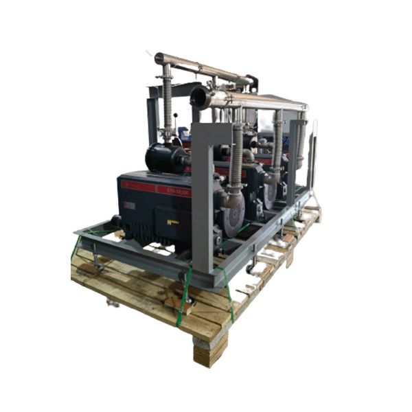 3 ETRD Three Pump Vacuum System