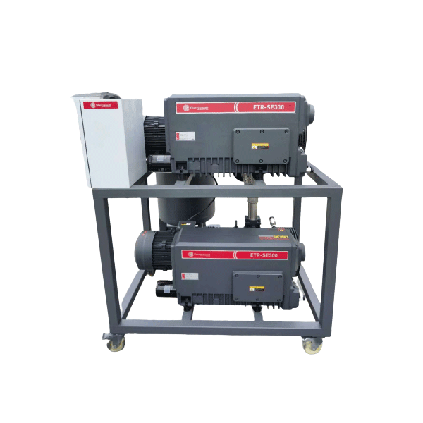 2ETRD Dual Pump Vacuum System