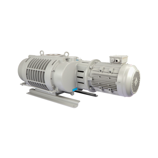 ETR-W1100B Roots Vacuum Pump