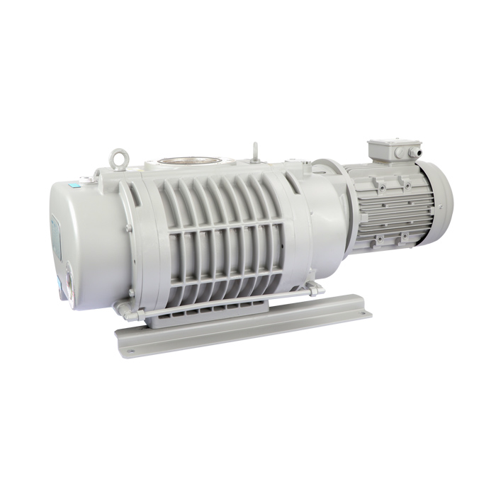 ETR-W500B Roots Vacuum Pump
