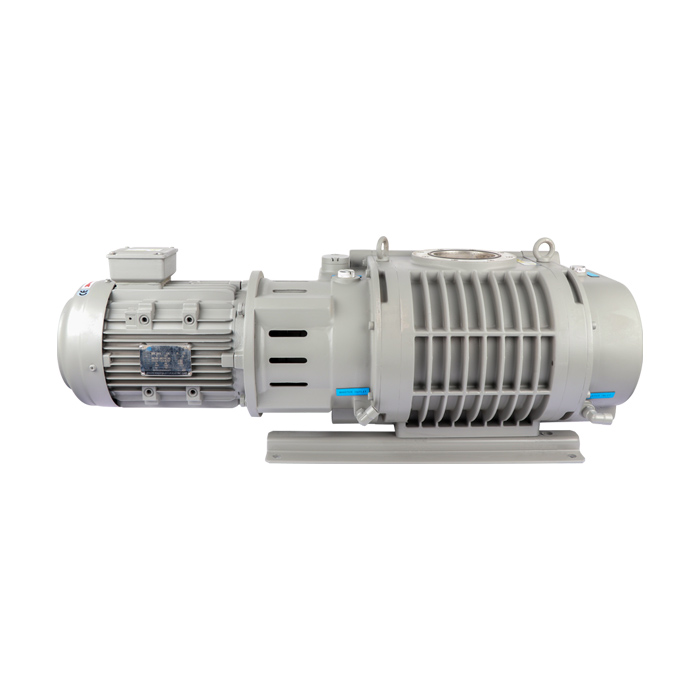 ETR-W300B Roots Vacuum Pump