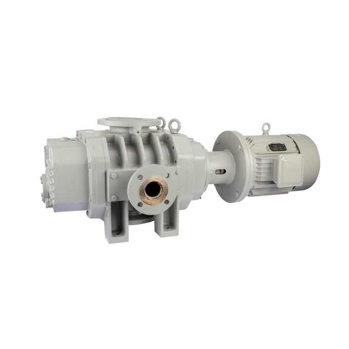 ETR-W36000E Roots Vacuum Pump