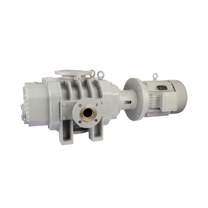 ETR-W9000E Roots Vacuum Pump