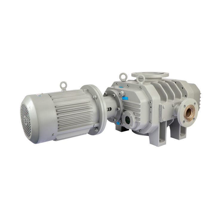 ETR-W4300E Roots Vacuum Pump