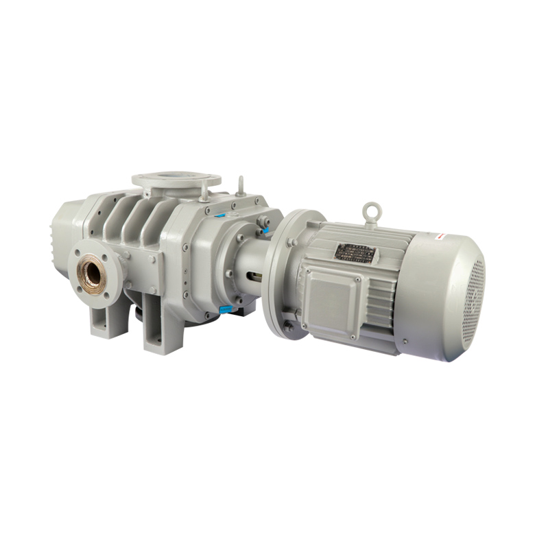 ETR-W220E Roots Vacuum Pump
