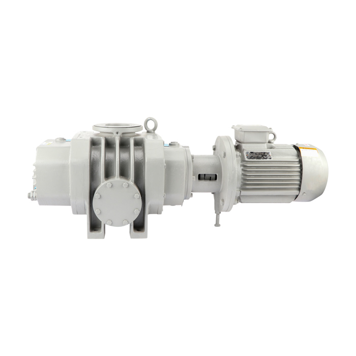 ETR-W600E Roots Vacuum Pump