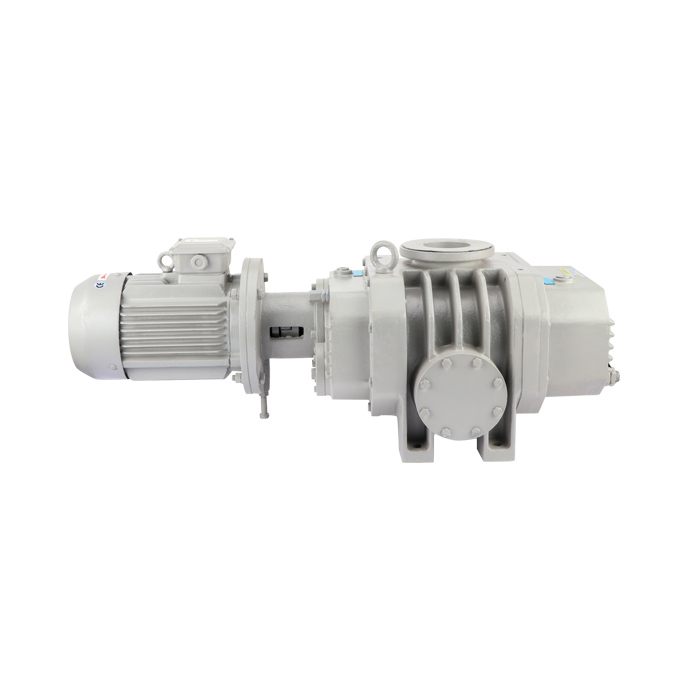 ETR-W300E Roots Vacuum Pump