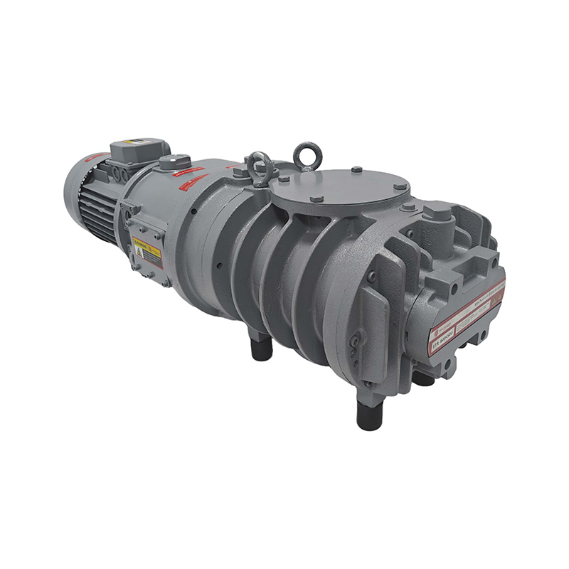 ETR-WEH250 Roots Vacuum Pump