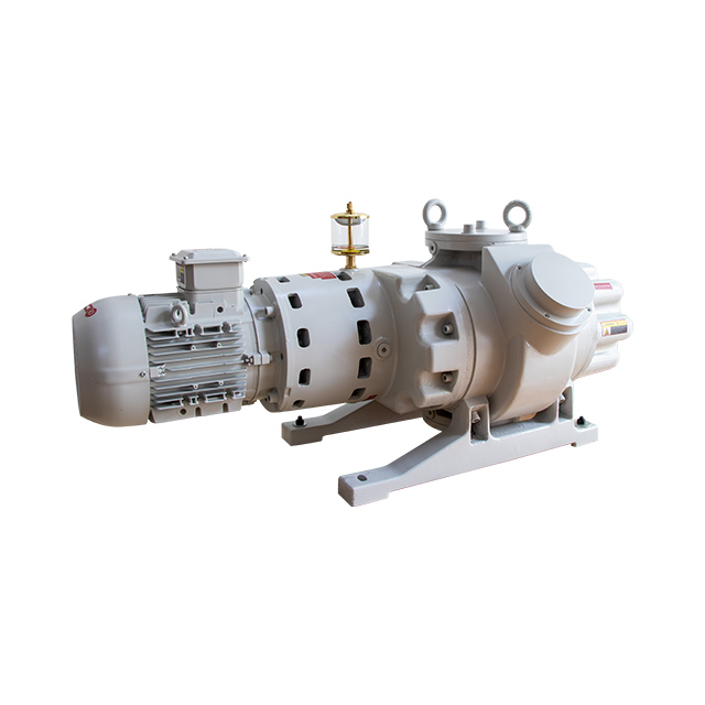 ETR-W4402 Roots Vacuum Pump