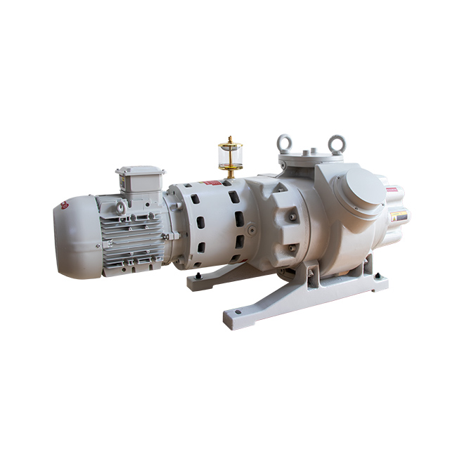 ETR-W2002 Roots Vacuum Pump
