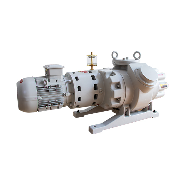 ETR-W1002 Roots Vacuum Pump