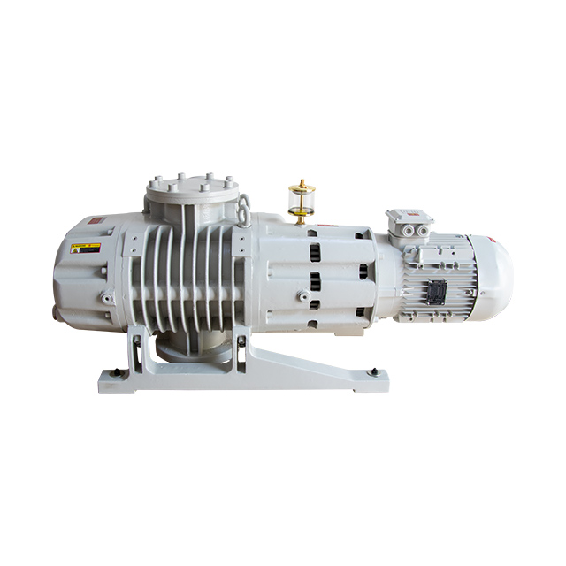 ETR-W252 Roots Vacuum Pump